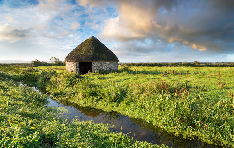 Braunton great field