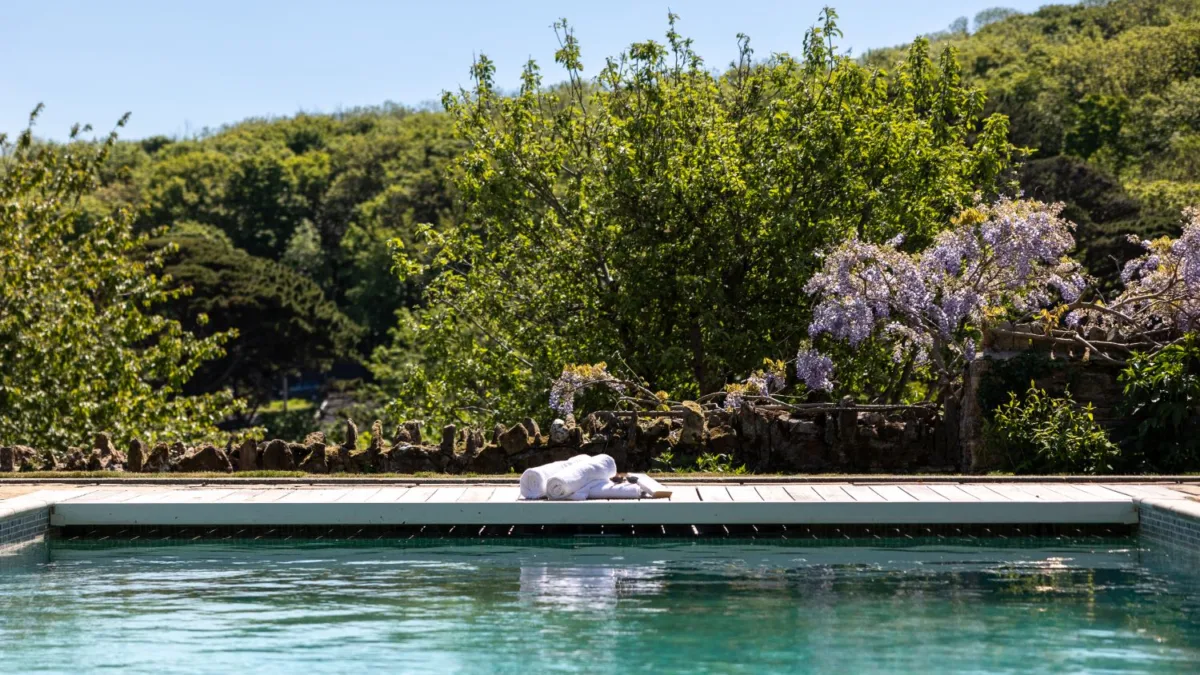 Whimbrels - Swimming pool close up