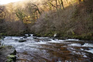 Lynmouth Watersmeet 