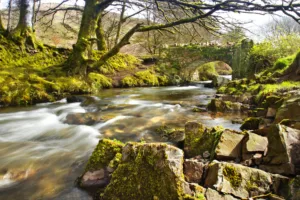Exmoor