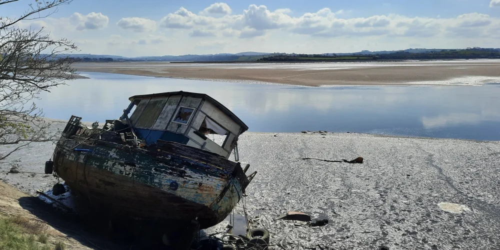 c2a622_977e1db788f047edb6d6a9a4997d2988_mv2